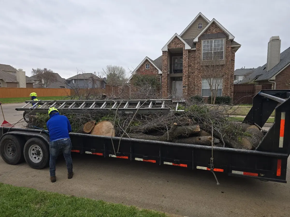 Expert Tree Fertilization with proper safety equipment in Pecos